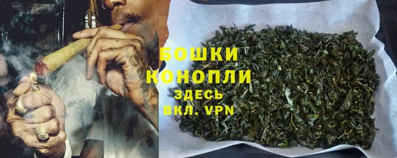 наркошоп  Ардон  Марихуана OG Kush 